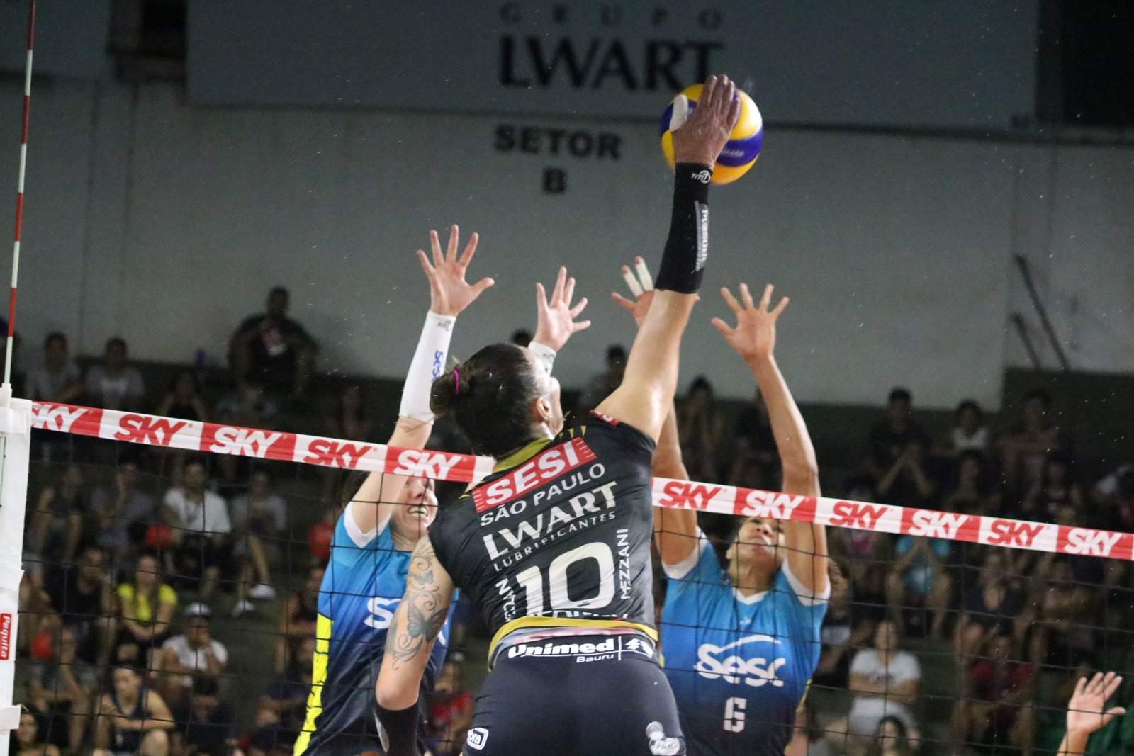 Com cinco atletas ProSports, Sesi Volei Bauru é campeão Paulista de Voleibol  feminino